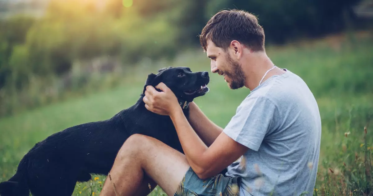 relacionamento do cachorro com o homem